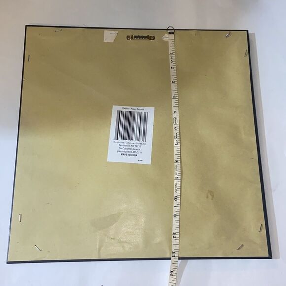 Gango Home Decor Frame - Picture 7 of 7